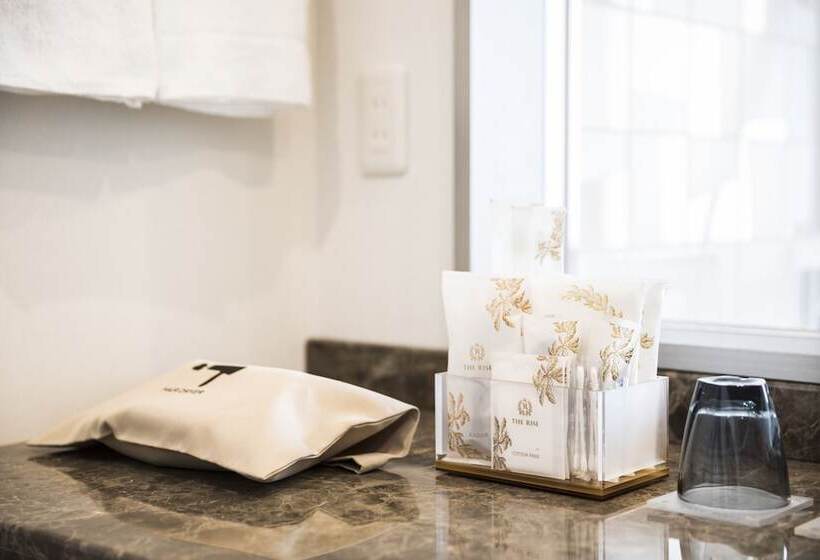 Люкс, The Rise Osaka Kitashinchi