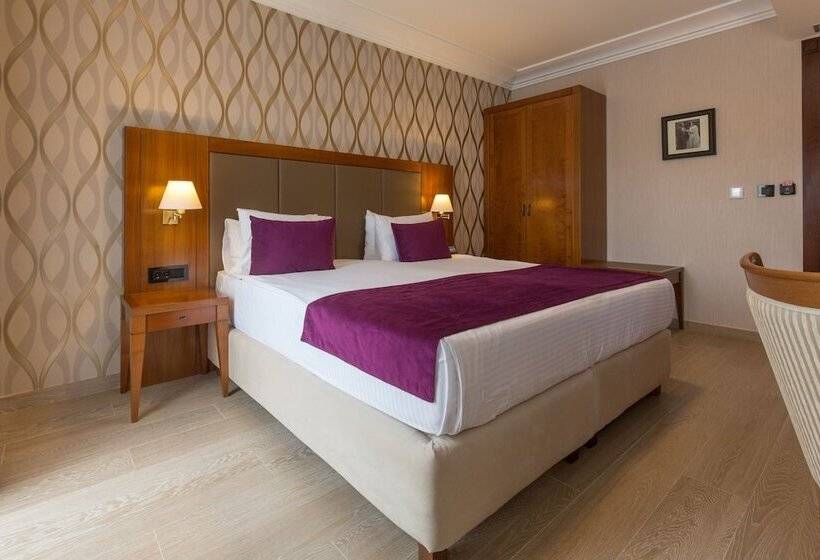 اتاق استاندارد با تخت دوبل, Xenon Hotel & Spa