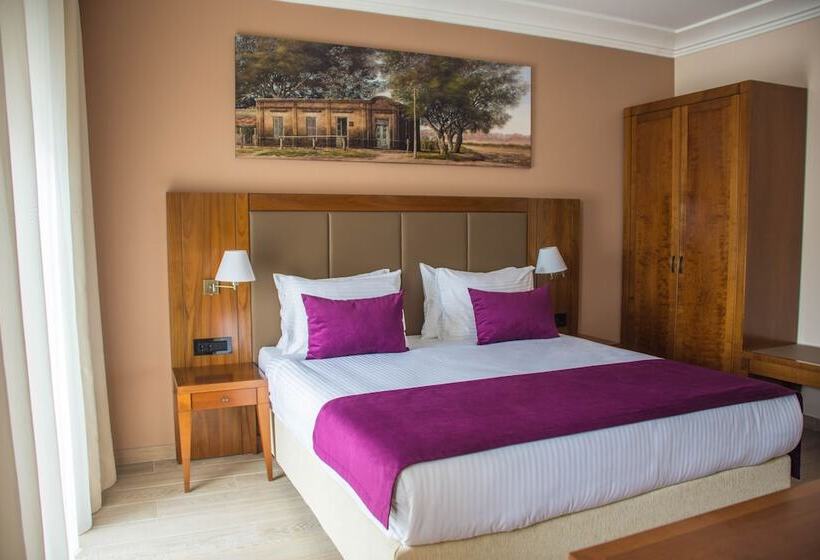 اتاق استاندارد با تخت دوبل, Xenon Hotel & Spa