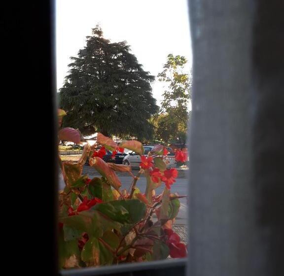 标准间带山景, Omer