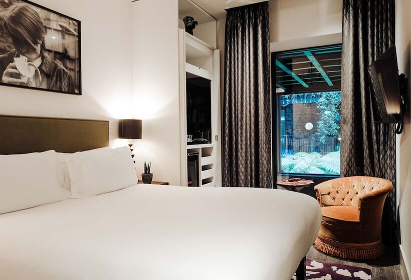 Standard Room, The Mandrake