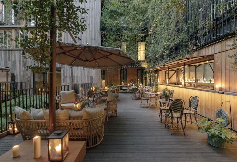 Executive Room, The Mandrake