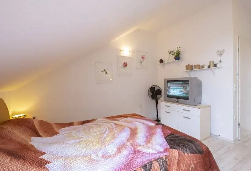 استودیوی استاندارد, Family Guesthouse Greenslo