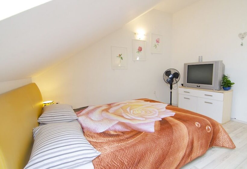 استودیوی استاندارد, Family Guesthouse Greenslo