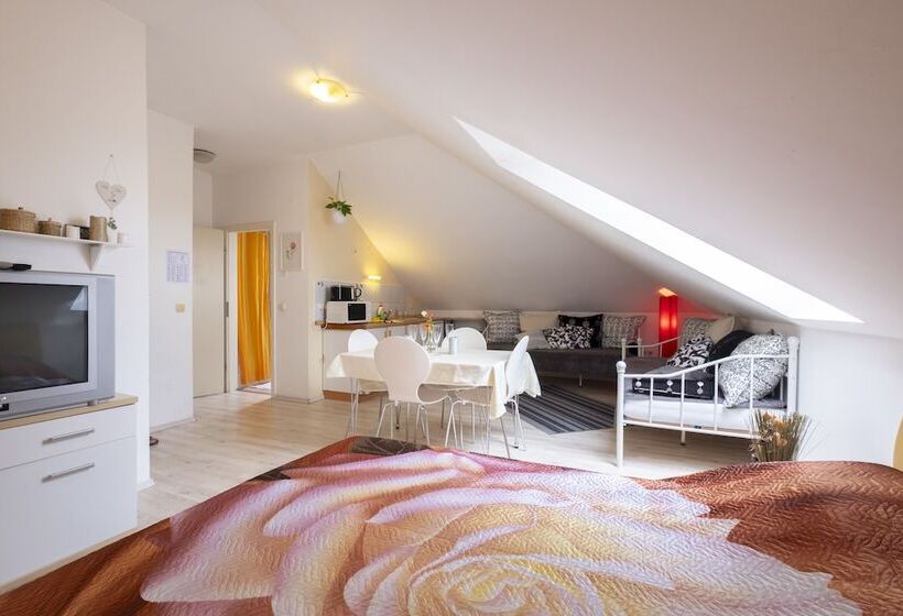 استودیوی استاندارد, Family Guesthouse Greenslo