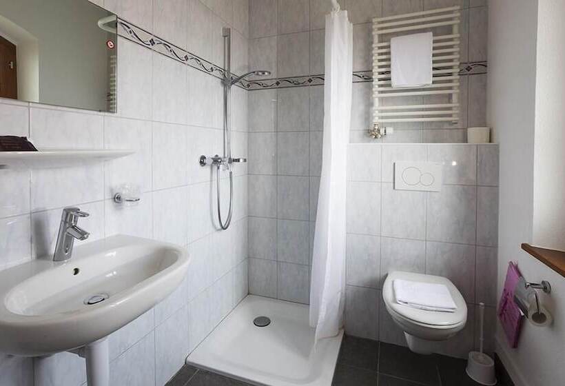 חדר סטנדרט לשלושה, Crêt Bérard