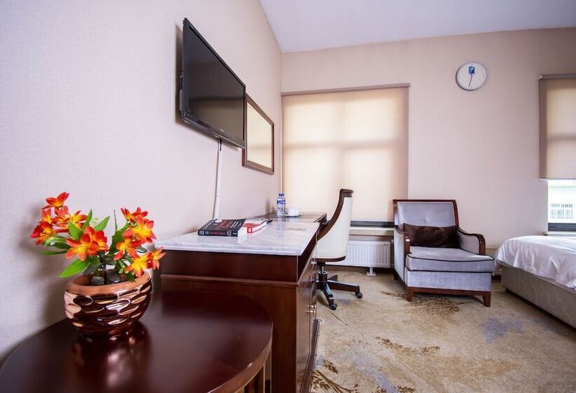 اتاق استاندارد, Mika