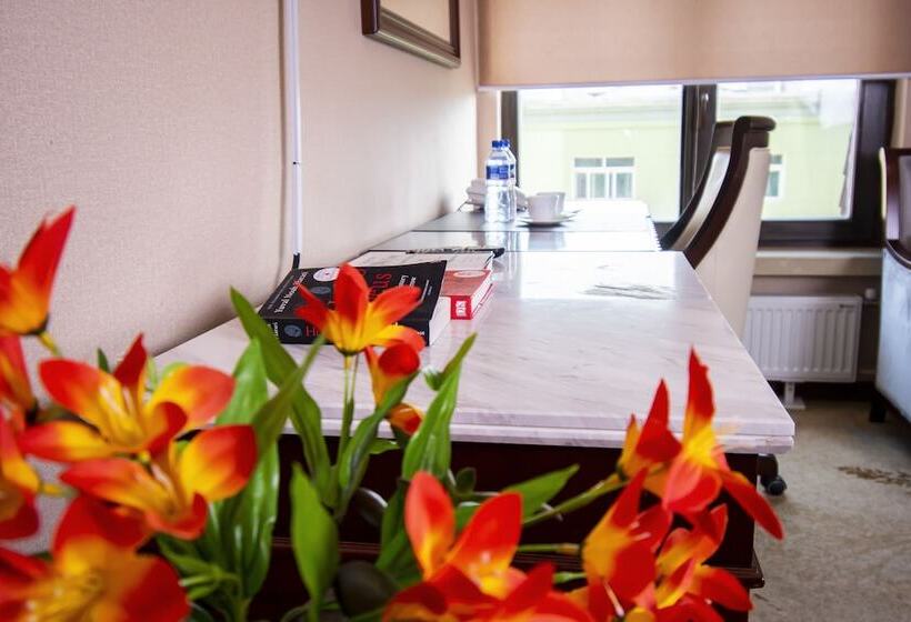 اتاق استاندارد, Mika