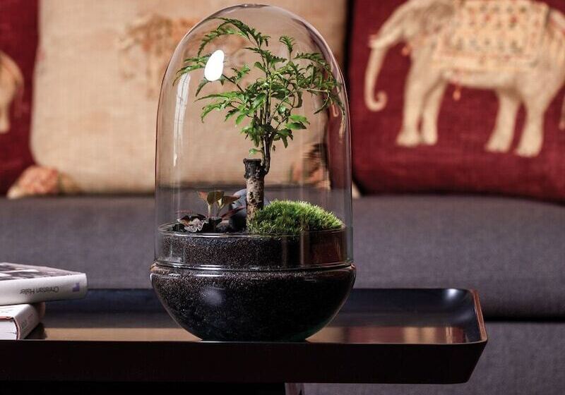 اتاق استاندارد, Orania.berlin