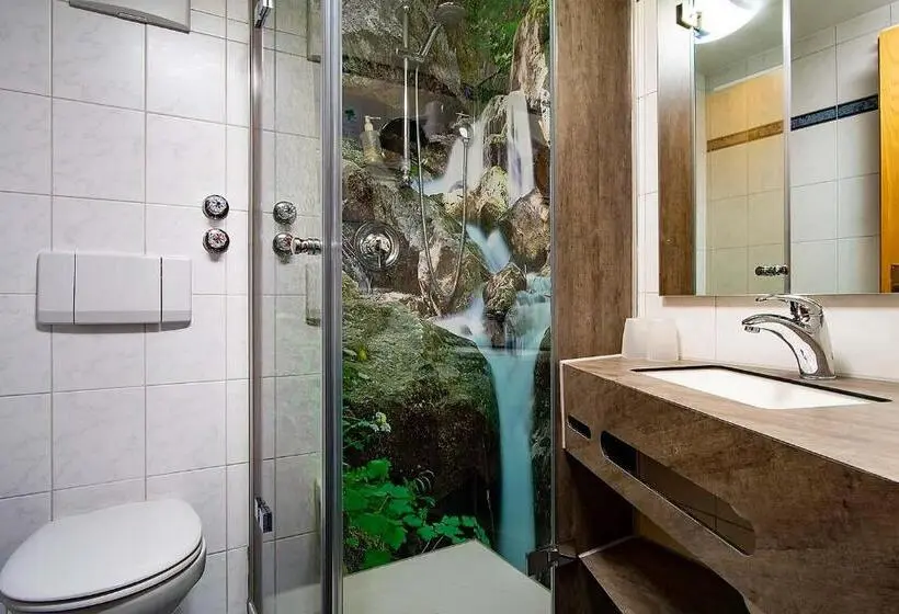اتاق استاندارد برای معلولان, Landhotel Wiesbauer