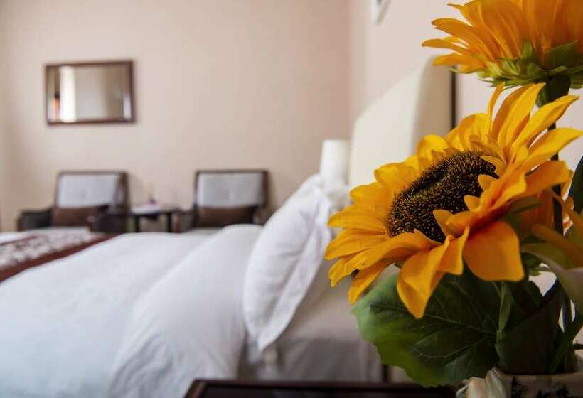 اتاق استاندارد یک نفره, Mika