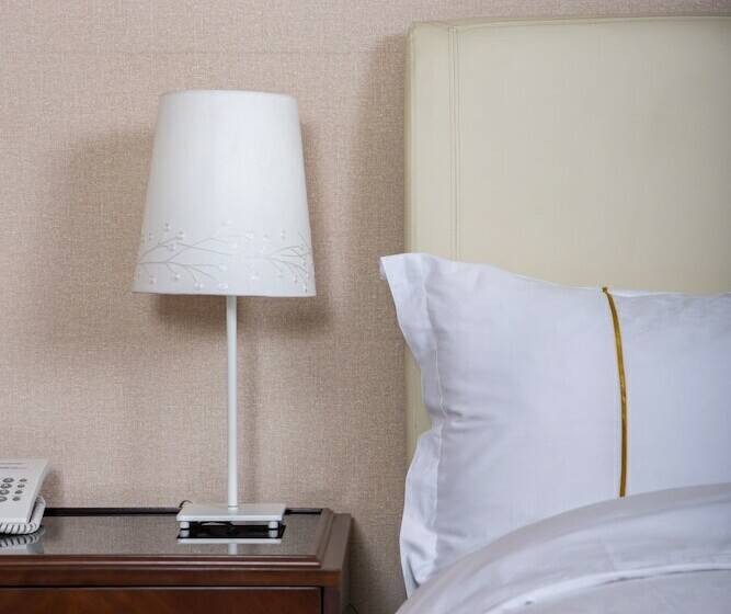 اتاق استاندارد یک نفره, Mika