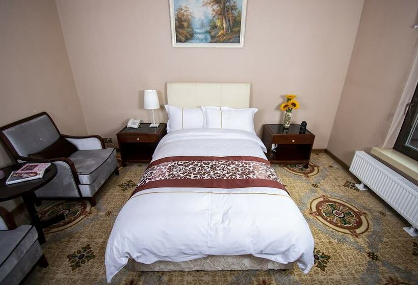 اتاق استاندارد یک نفره, Mika