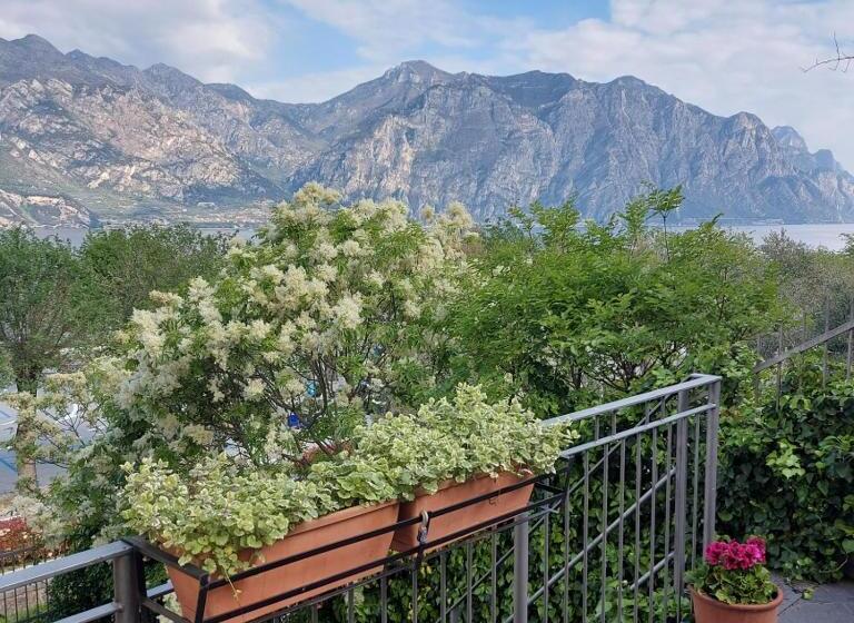 Апартаменты 1 Спальня с Террасой, Villa Treccani Apartments