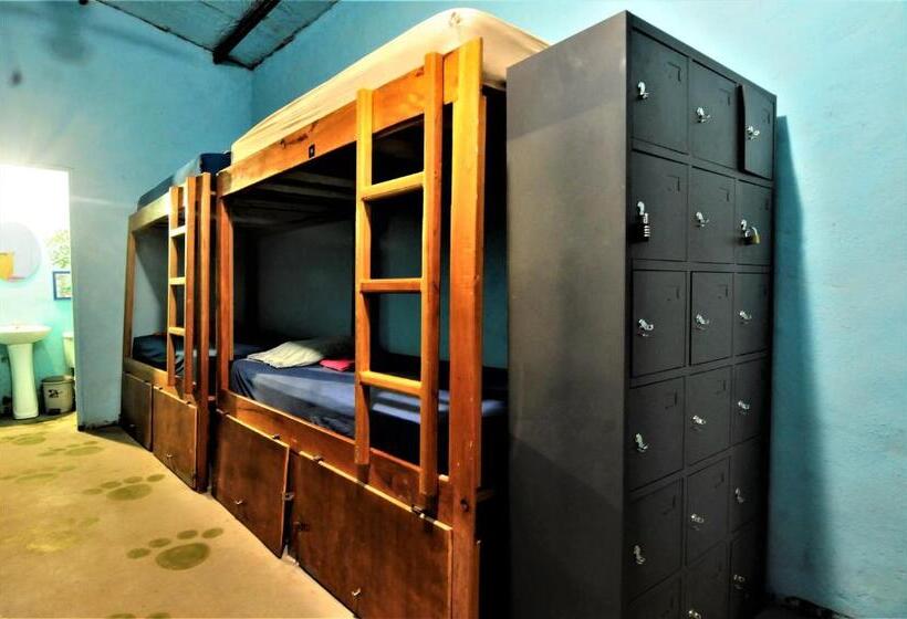 تختخواب در اتاق مشترک, Hostal La Casa De Juan