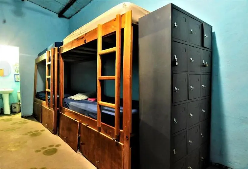 تختخواب در اتاق مشترک, Hostal La Casa De Juan