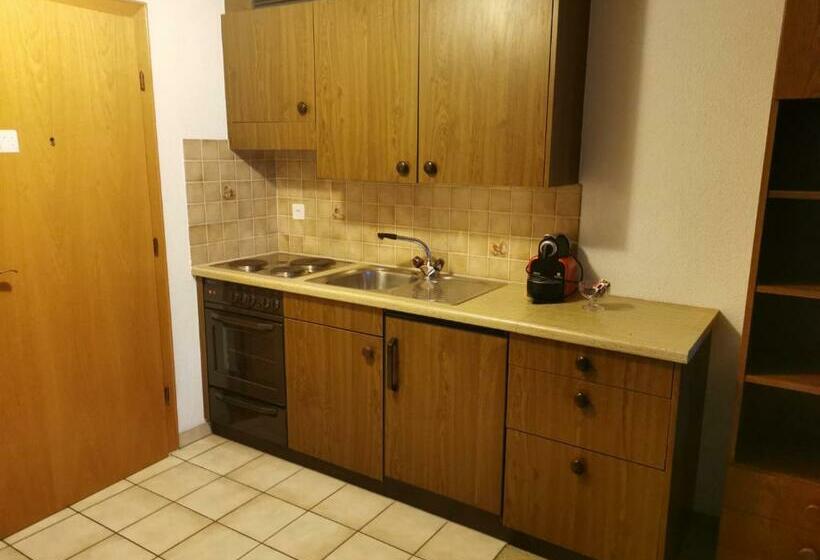 סטודיו משפחתי, Moulin