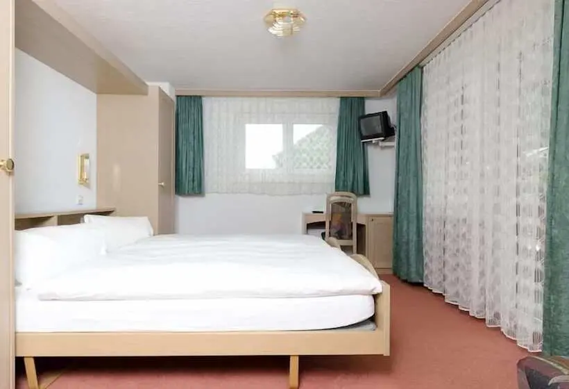 Habitación Estàndard Individual, Moulin