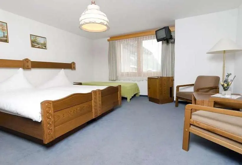 Habitación Estàndard Individual, Moulin