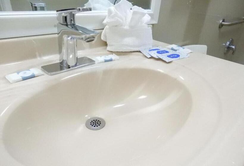 キングサイズベッドのスタンダードルーム, Siesta Inn Mcallen