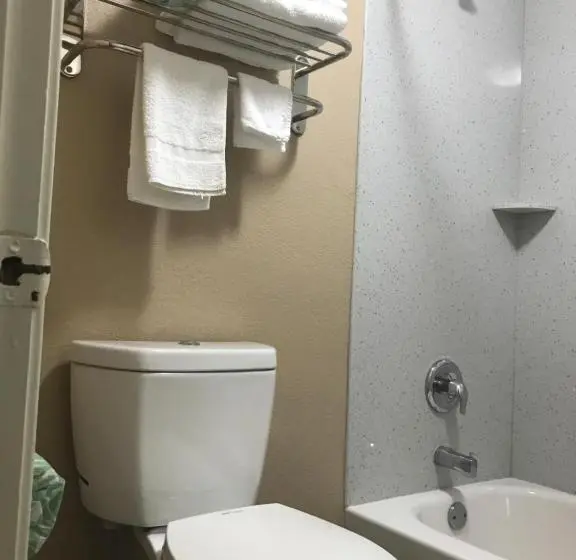 اتاق استاندارد با تخت بزرگ, Siesta Inn Mcallen