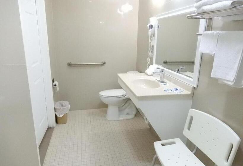キングサイズベッドのスタンダードルーム, Siesta Inn Mcallen
