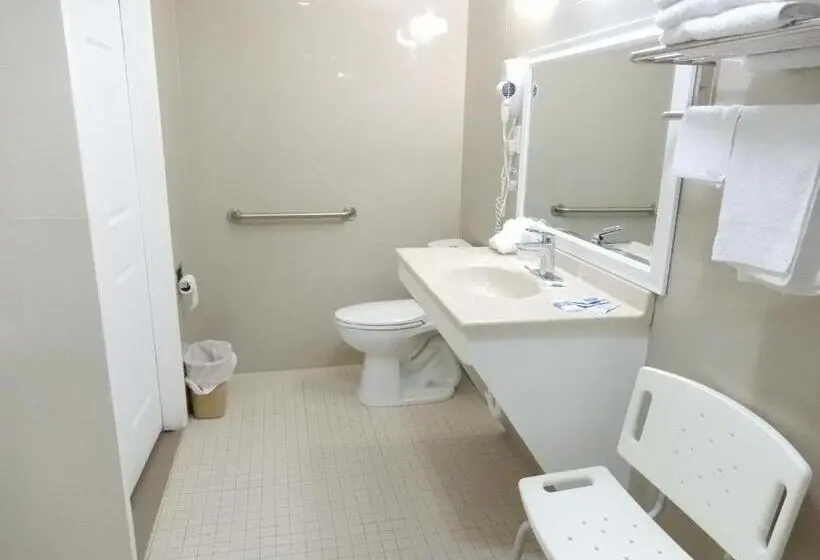 اتاق استاندارد با تخت بزرگ, Siesta Inn Mcallen