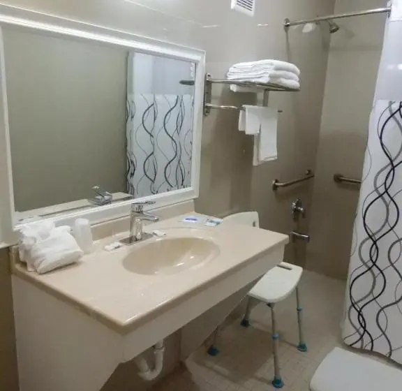 اتاق استاندارد با تخت بزرگ, Siesta Inn Mcallen