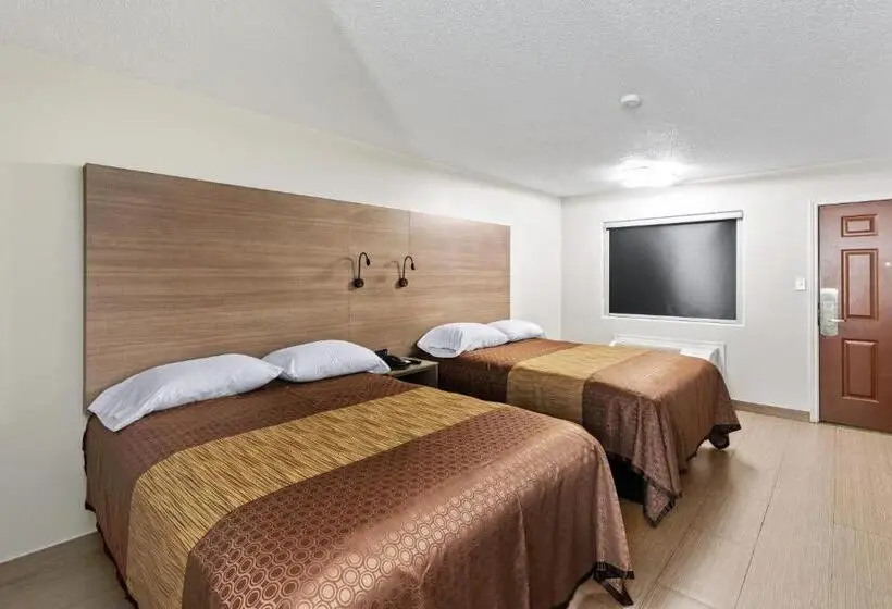 اتاق استاندارد, Siesta Inn Mcallen