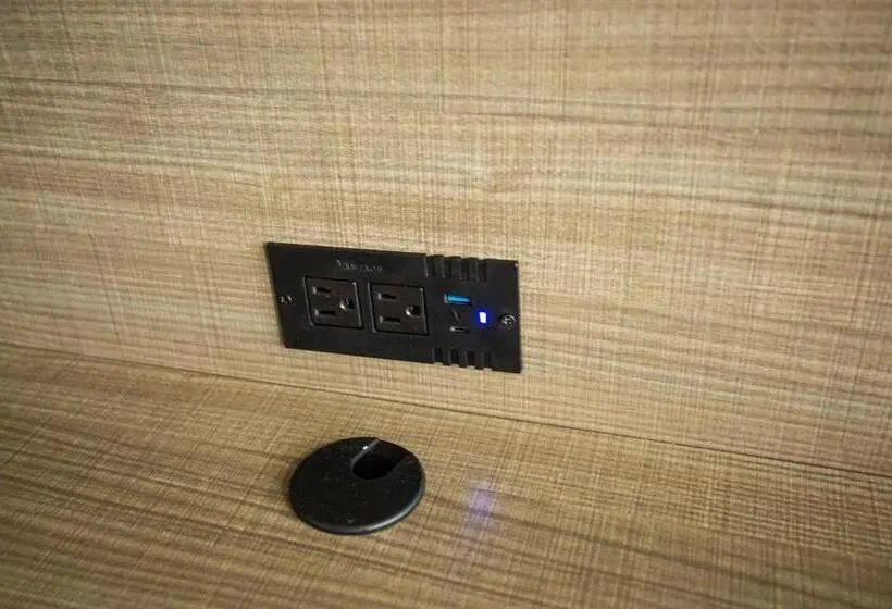 اتاق لوکس با تخت بزرگ, Siesta Inn Mcallen