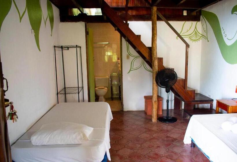 اتاق خانوادگی با چشمانداز دریا, Hostel Plinio