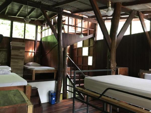 تختخواب در اتاق مشترک, Hostel Plinio