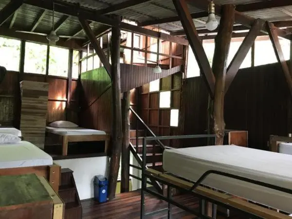 ルームシェアのワンベッド, Hostel Plinio