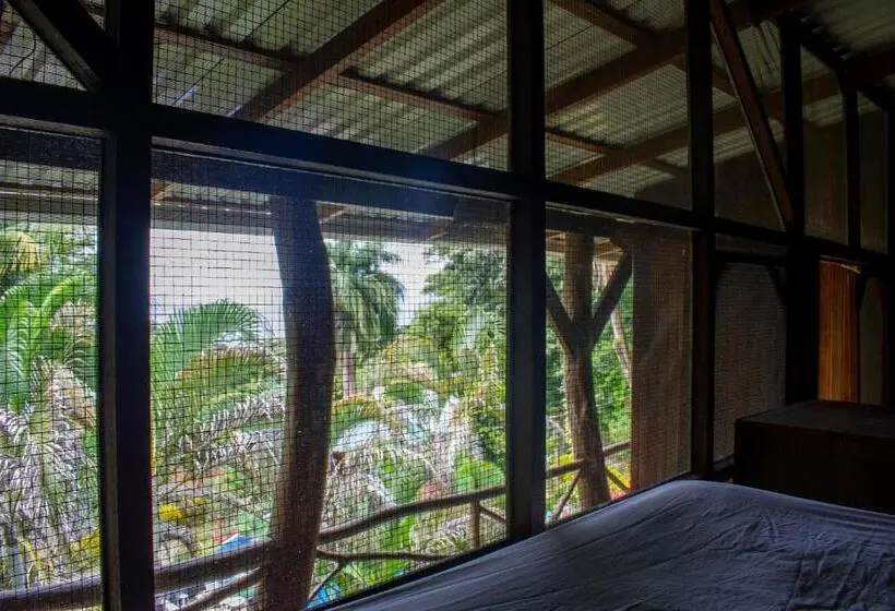 ルームシェアのワンベッド, Hostel Plinio