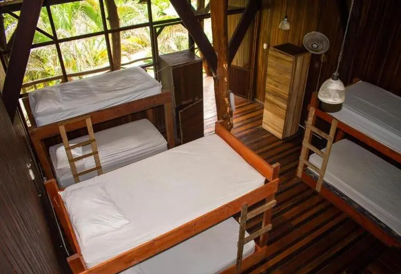 ルームシェアのワンベッド, Hostel Plinio