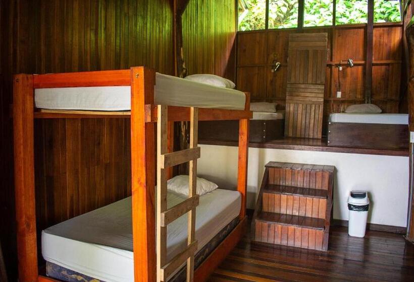 تختخواب در اتاق مشترک, Hostel Plinio