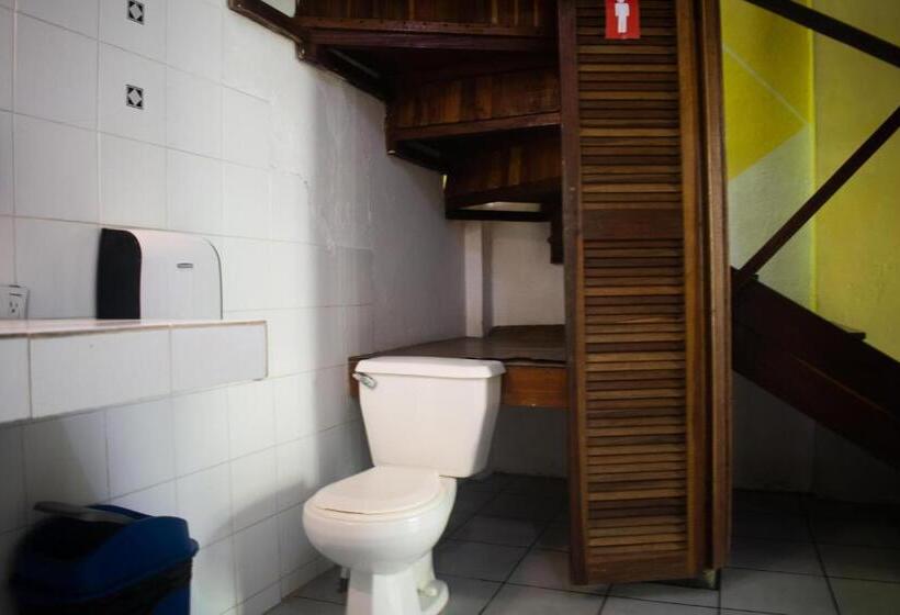 تختخواب در اتاق مشترک, Hostel Plinio