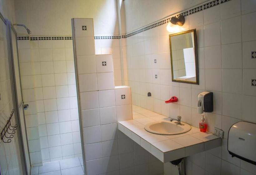 اتاق استاندارد با سرویس بهداشتی مشترک, Hostel Plinio