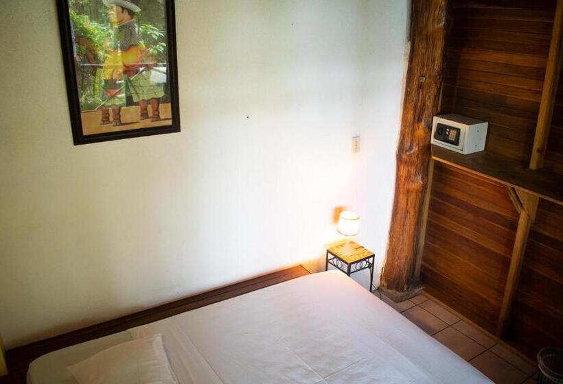 اتاق استاندارد با سرویس بهداشتی مشترک, Hostel Plinio