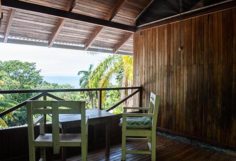 اتاق استاندارد با سرویس بهداشتی مشترک, Hostel Plinio