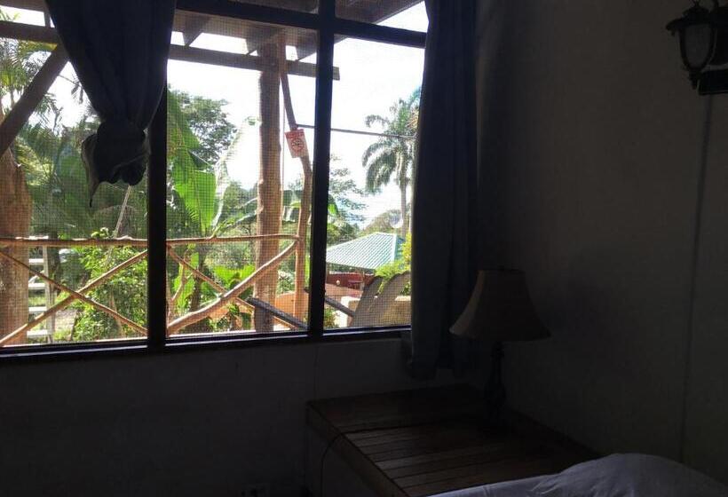 اتاق استاندارد با سرویس بهداشتی مشترک, Hostel Plinio