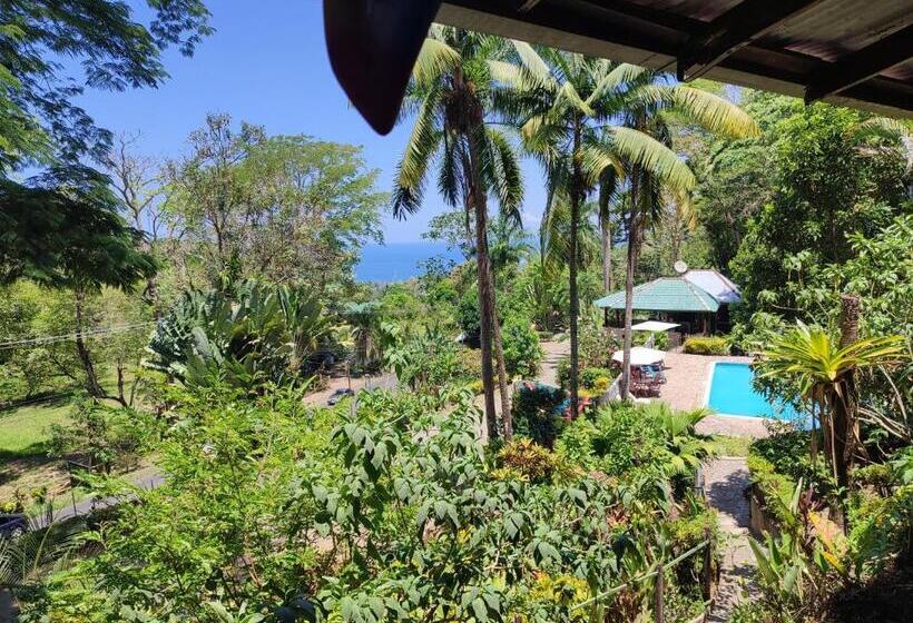 اتاق استاندارد چهار تخته, Hostel Plinio