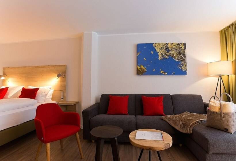 高级大房间, Elements Hotel Christlessee