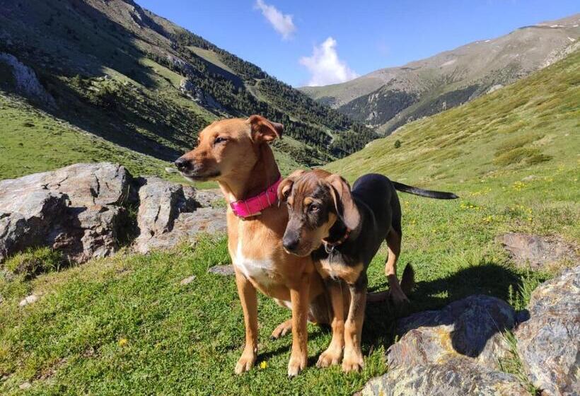 스탠다드 트리플 룸, Vall de Núria