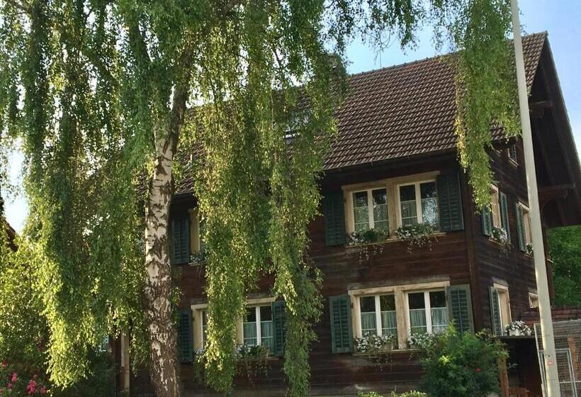 デラックススタジオ, Conny's B&b