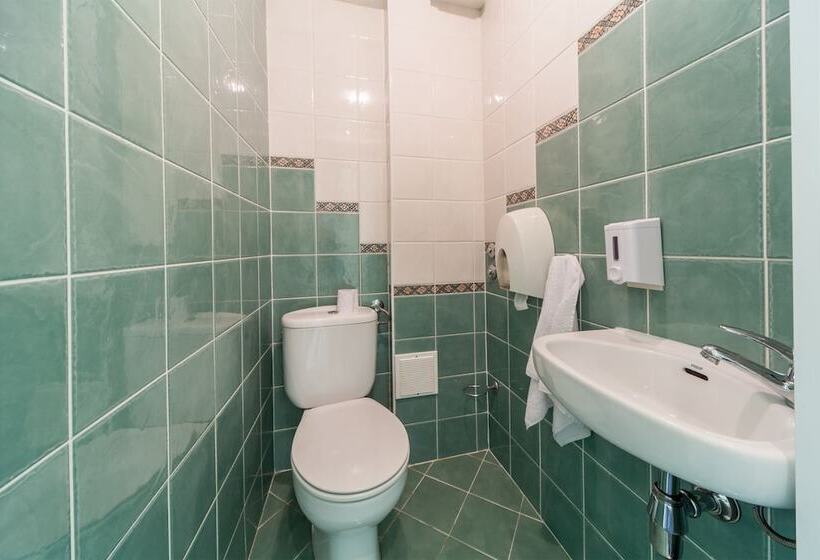 דירת חדר דלוקס, Elegans