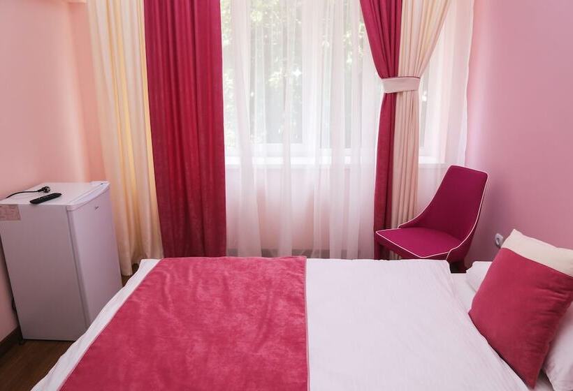 اتاق استاندارد یک نفره, Goris