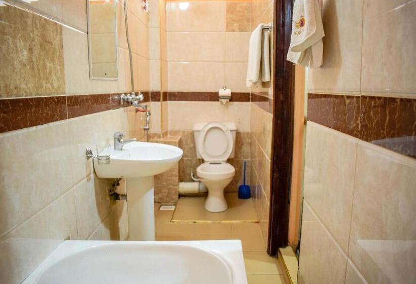 اتاق لوکس, The Joy