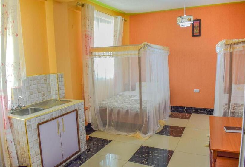 اتاق استاندارد, The Joy