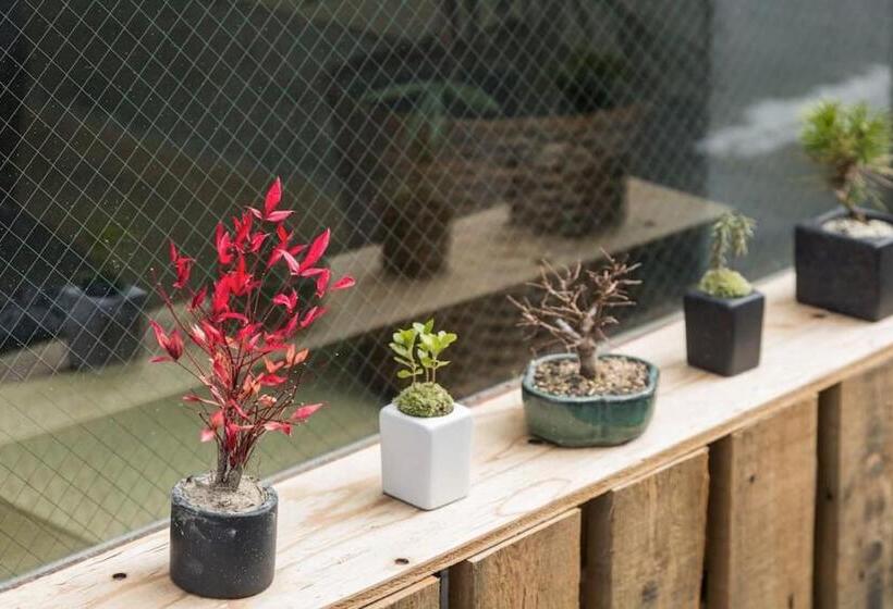 经济房, Music Uni Street Backpacker S Hostel